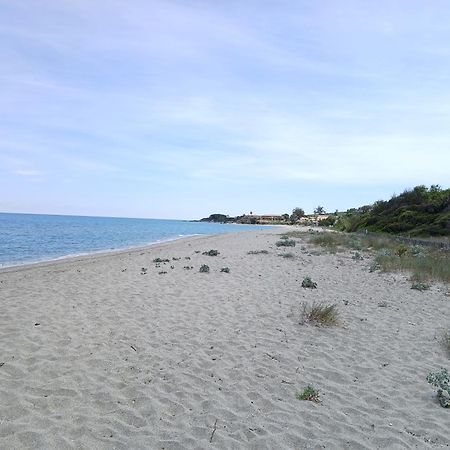 Terres De France - Les Hauts Du Maquis Linguizzetta ภายนอก รูปภาพ