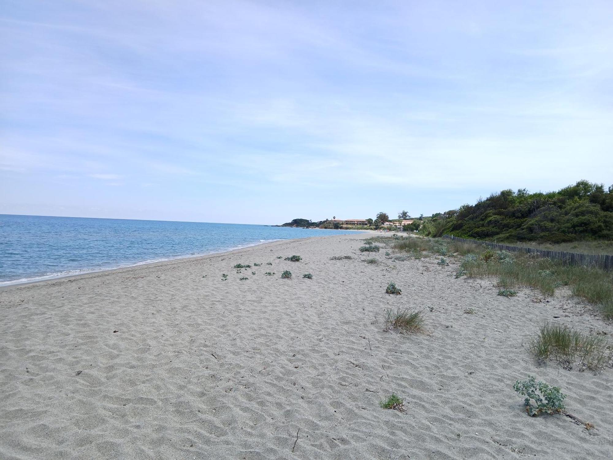 Terres De France - Les Hauts Du Maquis Linguizzetta ภายนอก รูปภาพ